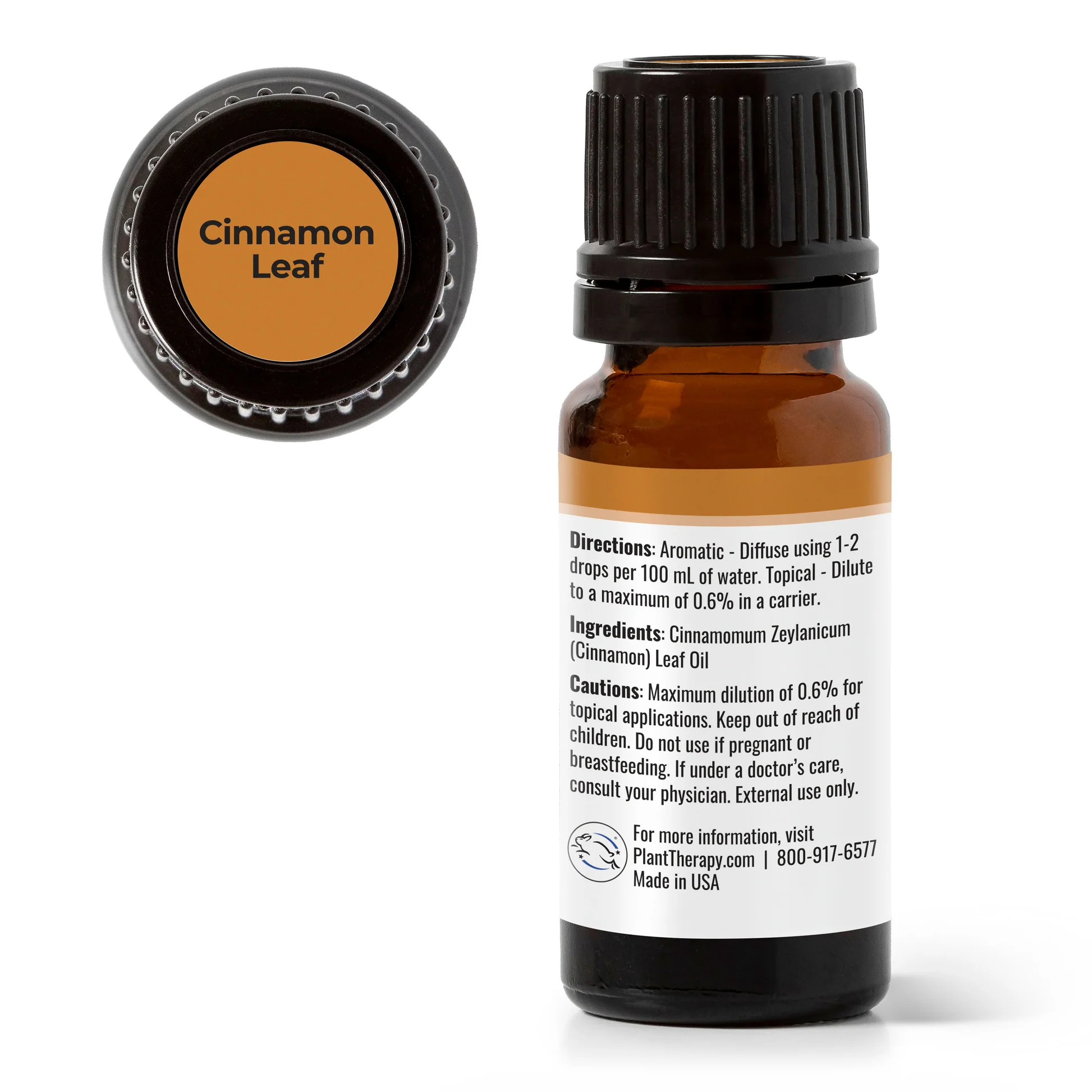 plant-therapy---cinnamon-leaf-2.webp