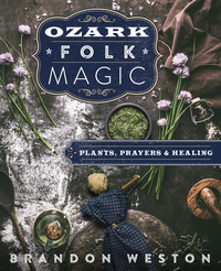 Ozark Folk Magic Book